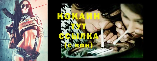 ПСИЛОЦИБИНОВЫЕ ГРИБЫ Сураж